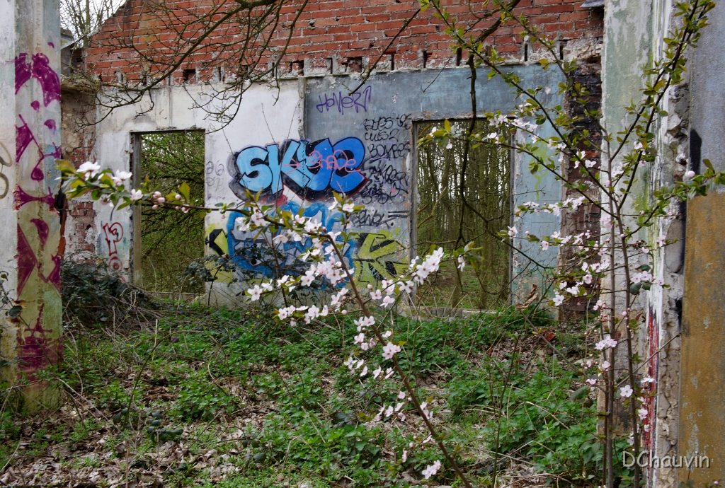 2010-03-conflans-OK (15).jpg